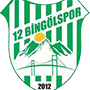 12Bingolspor.png