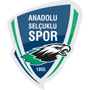 AnadoluSelcukluspor.png