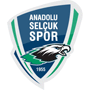 AnadoluSelcukspor.png