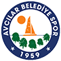 AvcilarBelediyespor.png