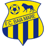 BaiaMareFC.png