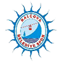 BalcovaYasamspor.png