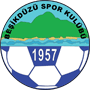 Besikduzuspor.png