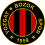 Bozokspor.png