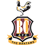 BradfordCityAFC.png