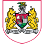 BristolCityFC.png