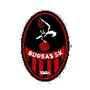 BugsasSpor2.png