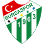 Bursaspor.png