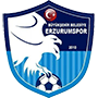 BuyuksehirBelediyeErzurumspor.png