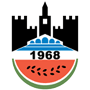 Diyarbakirspor.png