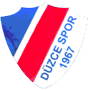 Duzcespor.png