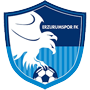 Erzurumspor_FK.png