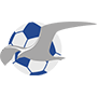 FKHaugesund.png