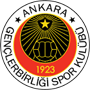 GenclerbirligiU15.png