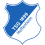 Hoffenheim.png