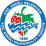 KaradenizEreglispor.png