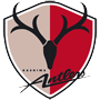 KashimaAntlers.png