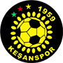 Kesanspor.png