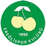 KonyaEreglispor.png