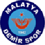 MalatyaDemirspor.png