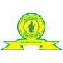 MamelodiSundowns.png