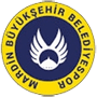 MardinBuyuksehirBelediye.png