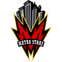 NYMetroStars.png