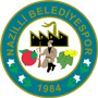 NazilliBelediyespor.png