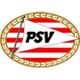 PSV9013.png