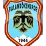 Palandokenspor.png