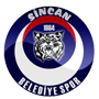 Sincanspor.png