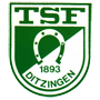 TSFDitzingen.png