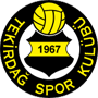 Tekirdagspor.png