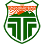 TepecikFiratpenspor.png