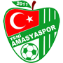 YeniAmasyaspor.png