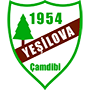 Yesilovaspor.png