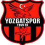 Yozgatspor1959FK.png