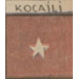 kocaeliKarmasi.png