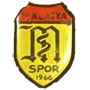 malatyaspor6679.png