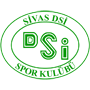 sivasdsispor.png